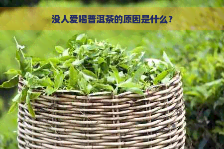 没人爱喝普洱茶的原因是什么？