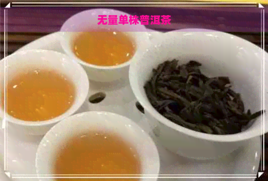 无量单株普洱茶