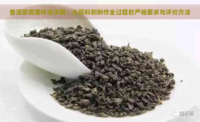 普洱茶质量标准详解：从原料到制作全过程的严格要求与评价方法