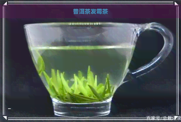 普洱茶发霉茶