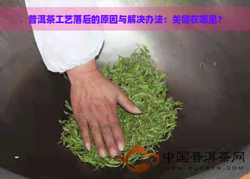 普洱茶工艺落后的原因与解决办法：关键在哪里？