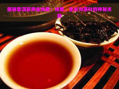 揭秘普洱茶黄金纬度：纬度、生长与茶叶的神秘关联