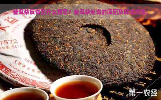 普洱茶反青是什么意思？普洱茶返青的原因及解决方法。