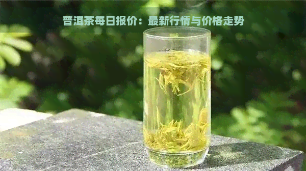 普洱茶每日报价：最新行情与价格走势