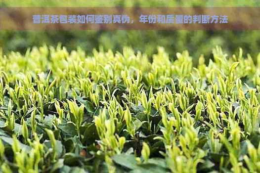 普洱茶包装如何鉴别真伪，年份和质量的判断方法