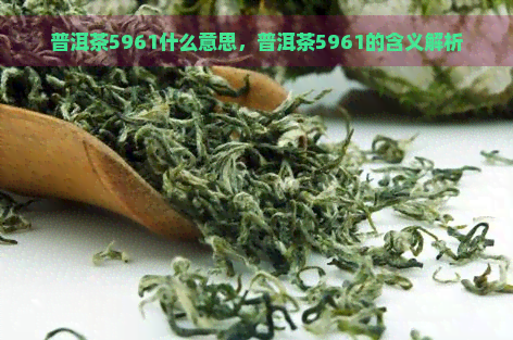 普洱茶5961什么意思，普洱茶5961的含义解析