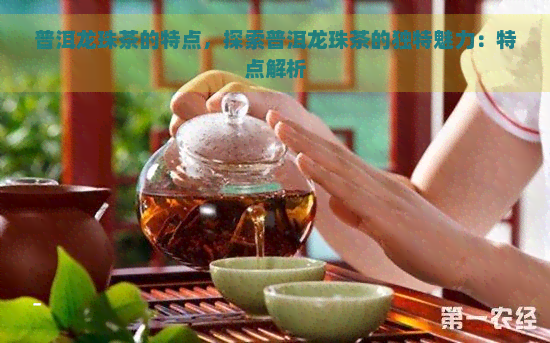 普洱龙珠茶的特点，探索普洱龙珠茶的独特魅力：特点解析