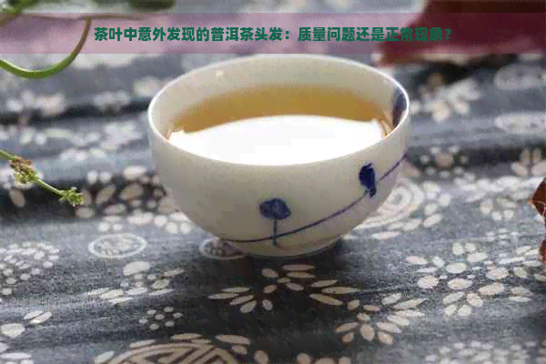 茶叶中意外发现的普洱茶头发：质量问题还是正常现象？