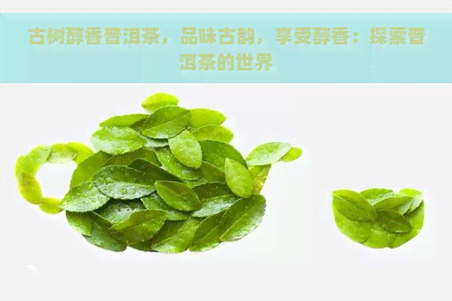 古树醇香普洱茶，品味古韵，享受醇香：探索普洱茶的世界