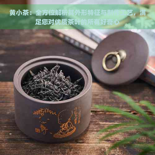 黄小茶：全方位解析其外形特征与制作工艺，满足您对优质茶叶的所有好奇心