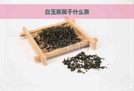 白玉茶属于什么茶