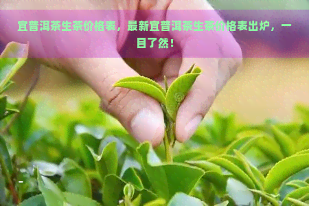 宜普洱茶生茶价格表，最新宜普洱茶生茶价格表出炉，一目了然！