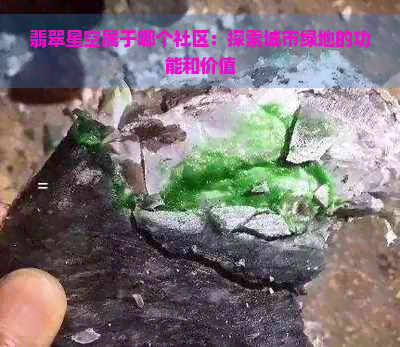 翡翠星空属于哪个社区：探索城市绿地的功能和价值