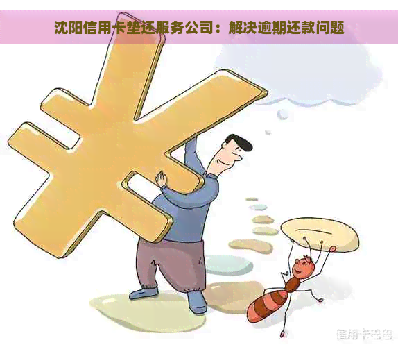 沈阳信用卡垫还服务公司：解决逾期还款问题