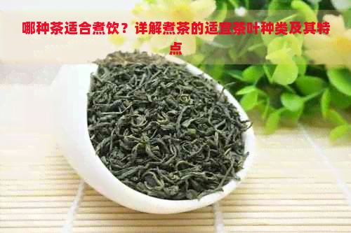 哪种茶适合煮饮？详解煮茶的适宜茶叶种类及其特点