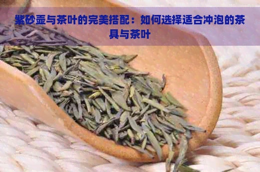 紫砂壶与茶叶的完美搭配：如何选择适合冲泡的茶具与茶叶