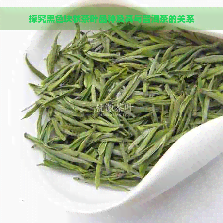 探究黑色块状茶叶品种及其与普洱茶的关系