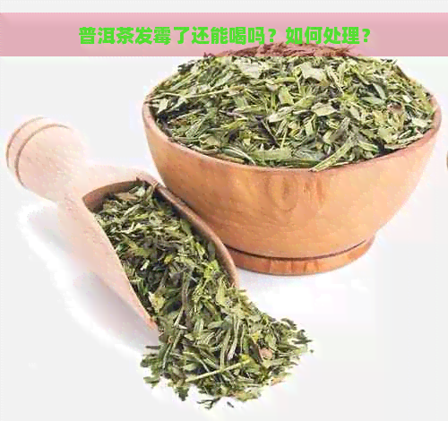 普洱茶发霉了还能喝吗？如何处理？