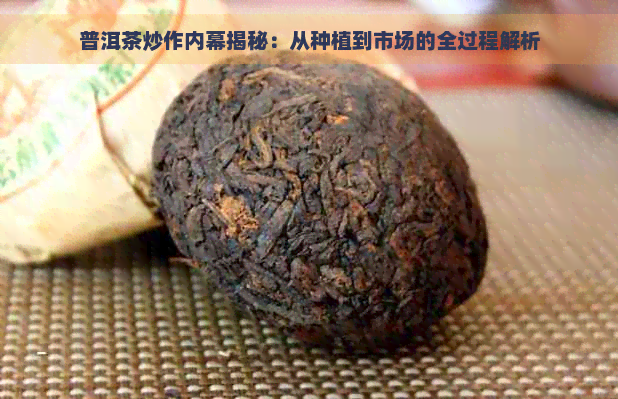 普洱茶炒作内幕揭秘：从种植到市场的全过程解析