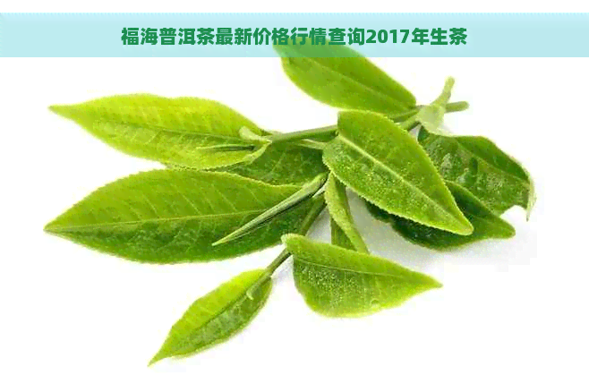 福海普洱茶最新价格行情查询2017年生茶