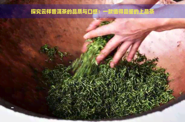 探究云祥普洱茶的品质与口感：一款值得品鉴的上品茶