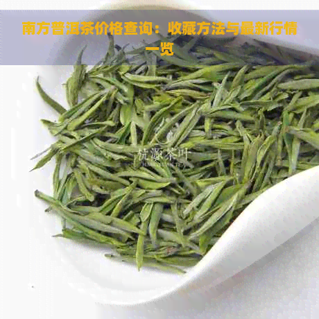 南方普洱茶价格查询：收藏方法与最新行情一览