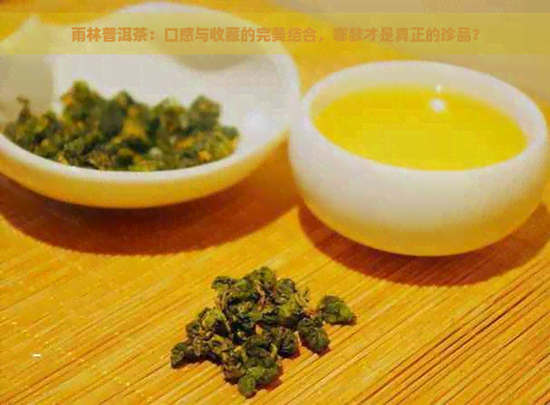 雨林普洱茶：口感与收藏的完美结合，哪款才是真正的珍品？