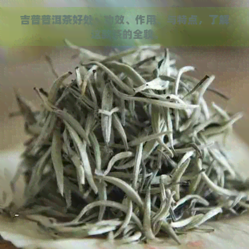 吉普普洱茶好处：功效、作用、与特点，了解这款茶的全貌。