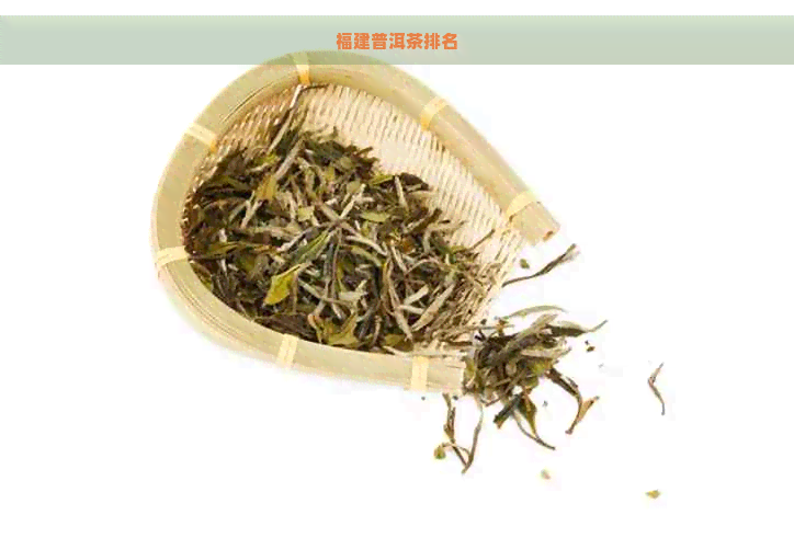 福建普洱茶排名