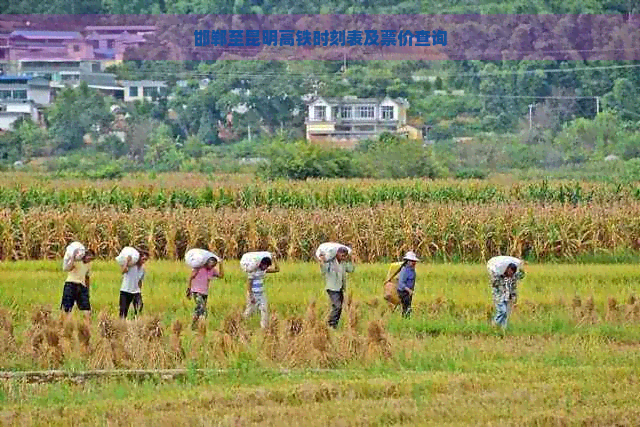 邯郸至昆明高铁时刻表及票价查询