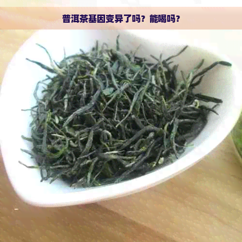 普洱茶基因变异了吗？能喝吗？