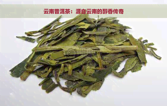 云南普洱茶：源自云南的醇香传奇