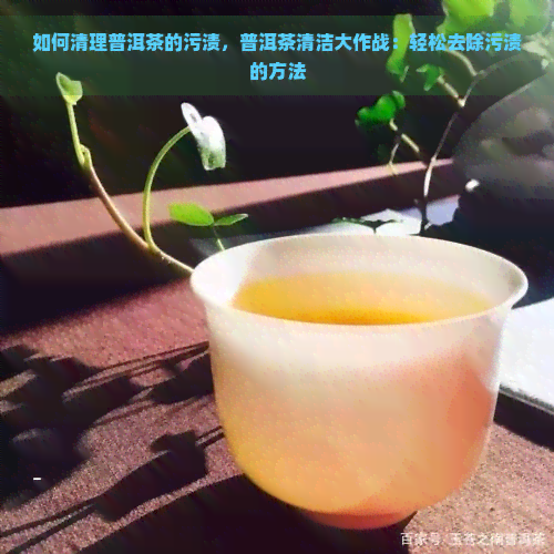 如何清理普洱茶的污渍，普洱茶清洁大作战：轻松去除污渍的方法