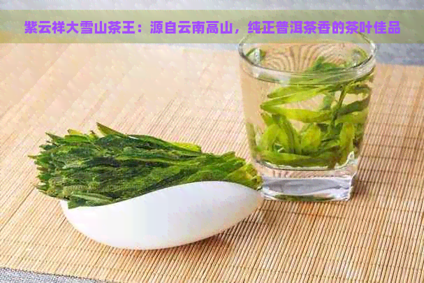 紫云祥大雪山茶王：源自云南高山，纯正普洱茶香的茶叶佳品