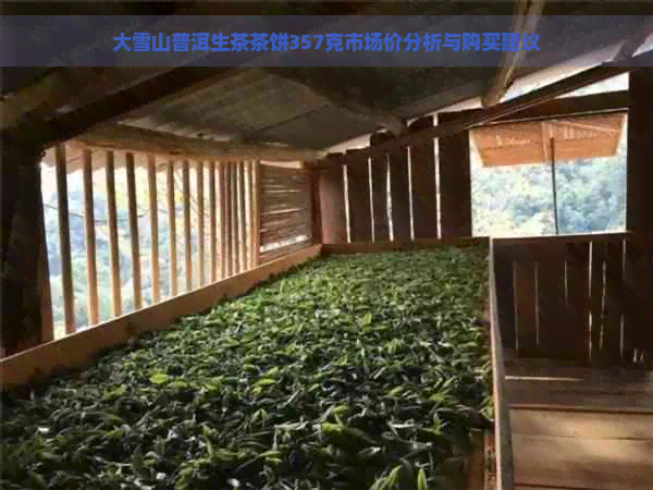 大雪山普洱生茶茶饼357克市场价分析与购买建议