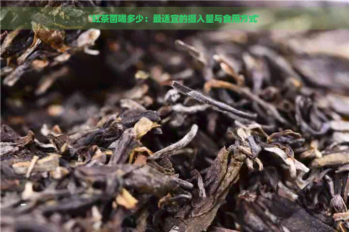 '红茶菌喝多少：最适宜的摄入量与食用方式'