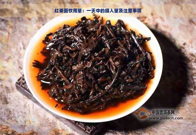 红茶菌饮用量：一天中的摄入量及注意事项