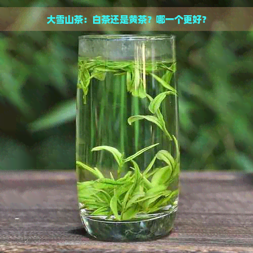 大雪山茶：白茶还是黄茶？哪一个更好？