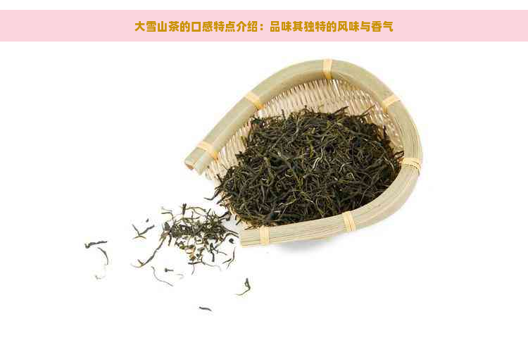 大雪山茶的口感特点介绍：品味其独特的风味与香气