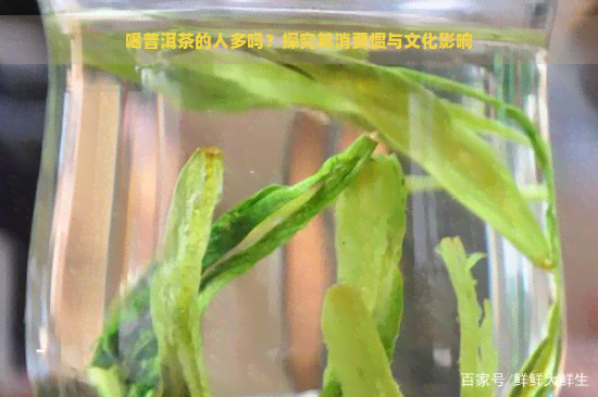 喝普洱茶的人多吗？探究其消费惯与文化影响