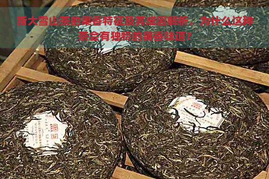 新大雪山茶的果香特征及其成因解析，为什么这种茶会有独特的果香味道？