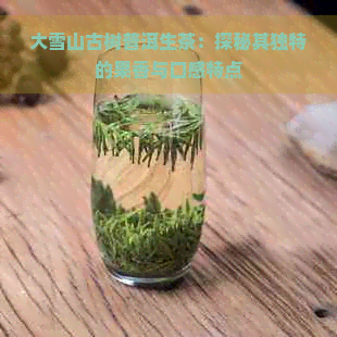 大雪山古树普洱生茶：探秘其独特的果香与口感特点