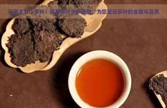 云南大雪山茶叶：优质茶叶生产基地，为您呈现茶叶的全貌与品质