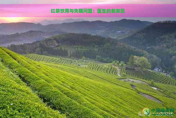 红茶饮用与失眠问题：医生的新发现