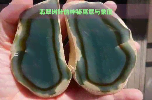 翡翠树叶的神秘寓意与象征