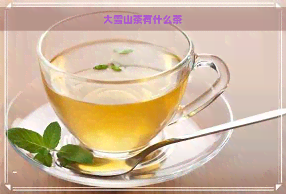 大雪山茶有什么茶