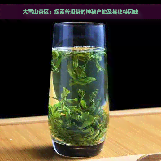 大雪山茶区：探索普洱茶的神秘产地及其独特风味