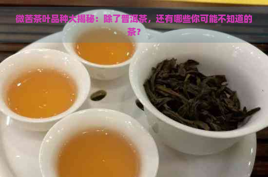 微苦茶叶品种大揭秘：除了普洱茶，还有哪些你可能不知道的茶？