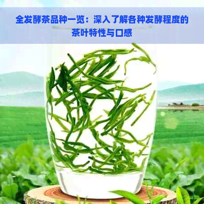 全发酵茶品种一览：深入了解各种发酵程度的茶叶特性与口感