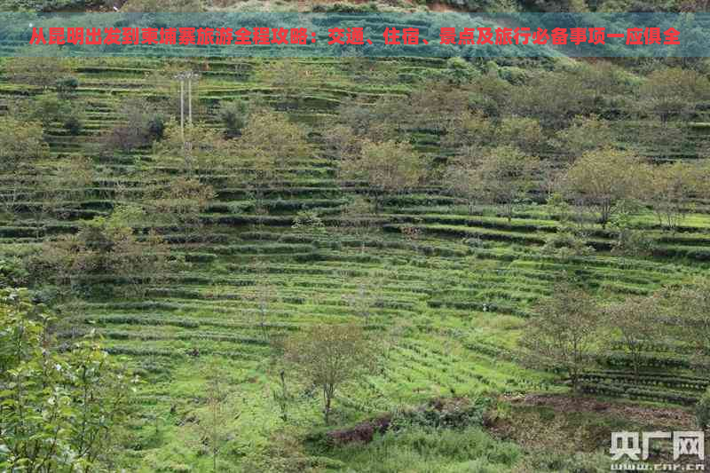 从昆明出发到柬埔寨旅游全程攻略：交通、住宿、景点及旅行必备事项一应俱全